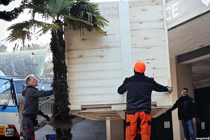 (Foto: Screenshot / Aquarium Pula) 