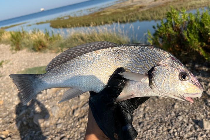 (Snimio Boris Bulić)