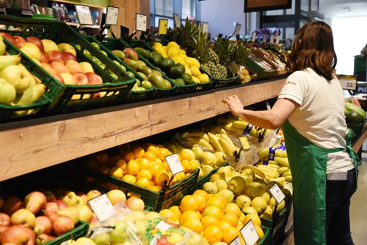 Ilustracija (Arhiva Novog lista)