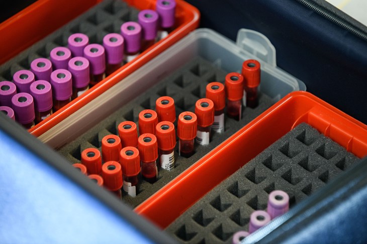 Ilustracija (Snimio Luka Jeličić)