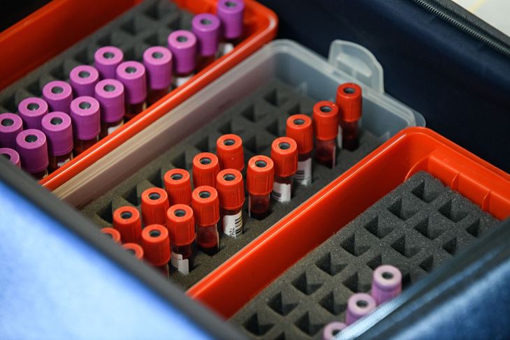 Ilustracija (Snimio Luka Jeličić)