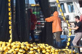 Ilustracija (Snimio Milivoj Mijošek)