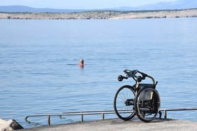 Ilustracija(Sergej Drechsler / Novi list)