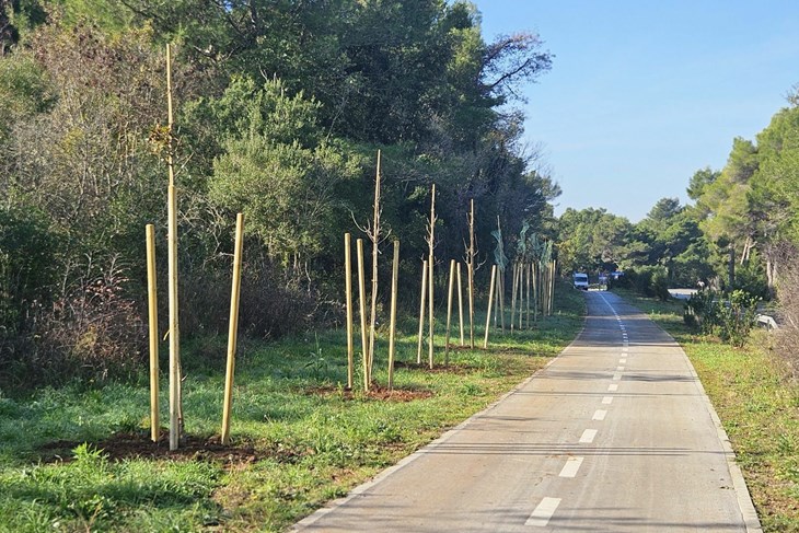 Ilustracija(Snimio Milivoj Mijošek)