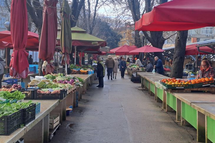 (Snimila Jelena Milović)