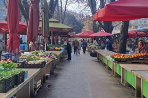 (Snimila Jelena Milović)