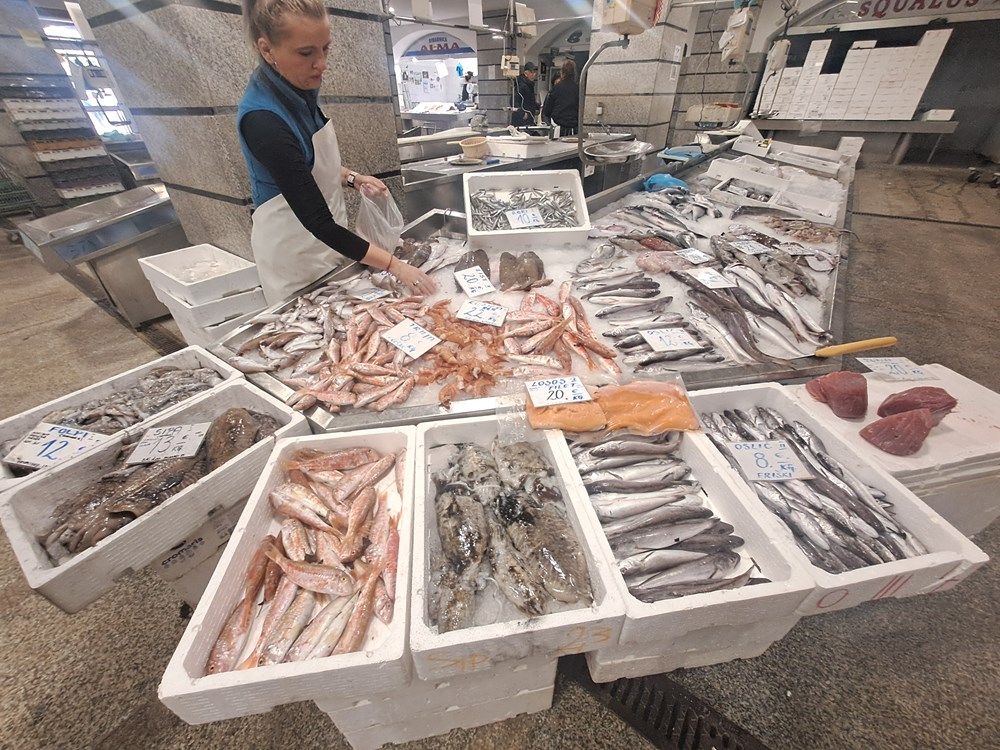 (Snimila Jelena Milović)