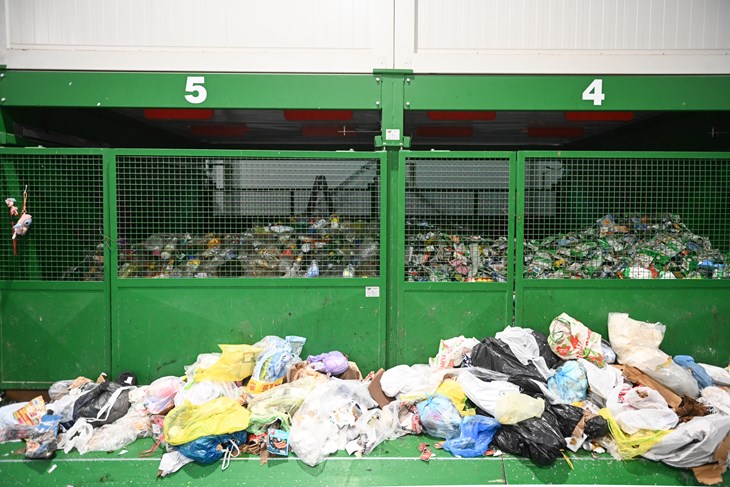 (Snimio Nikola Blagojević)