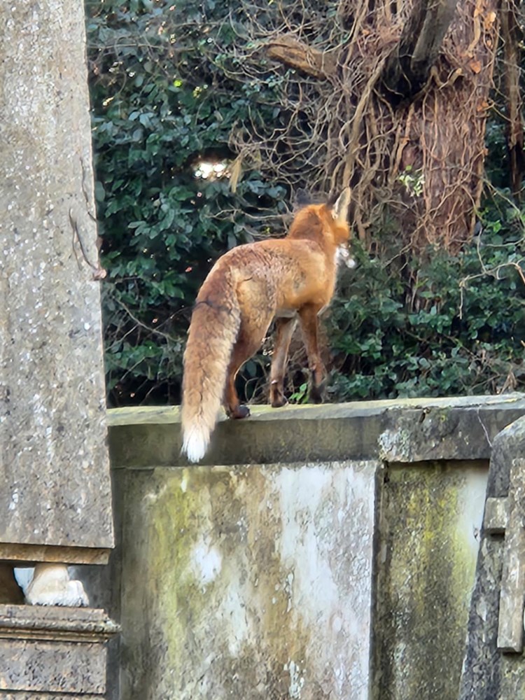 (Foto Tin/Monte Giro)