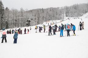 (Snimio Nikola Blagojević)