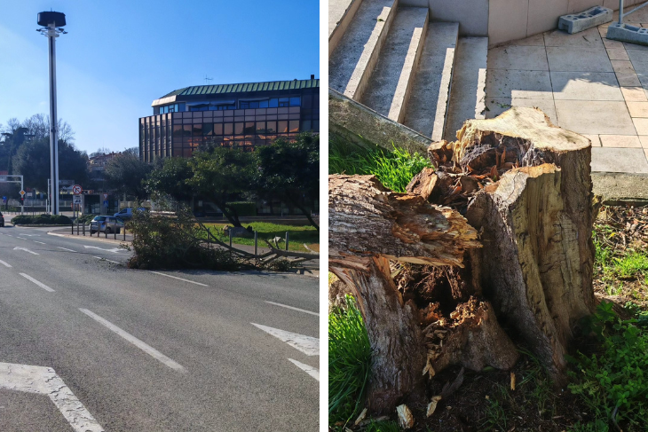 (Snimio Elvis Morina)