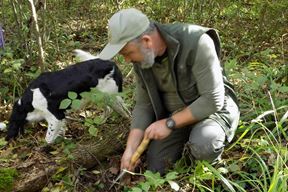 (Snimila Gordana Čalić Šverko)