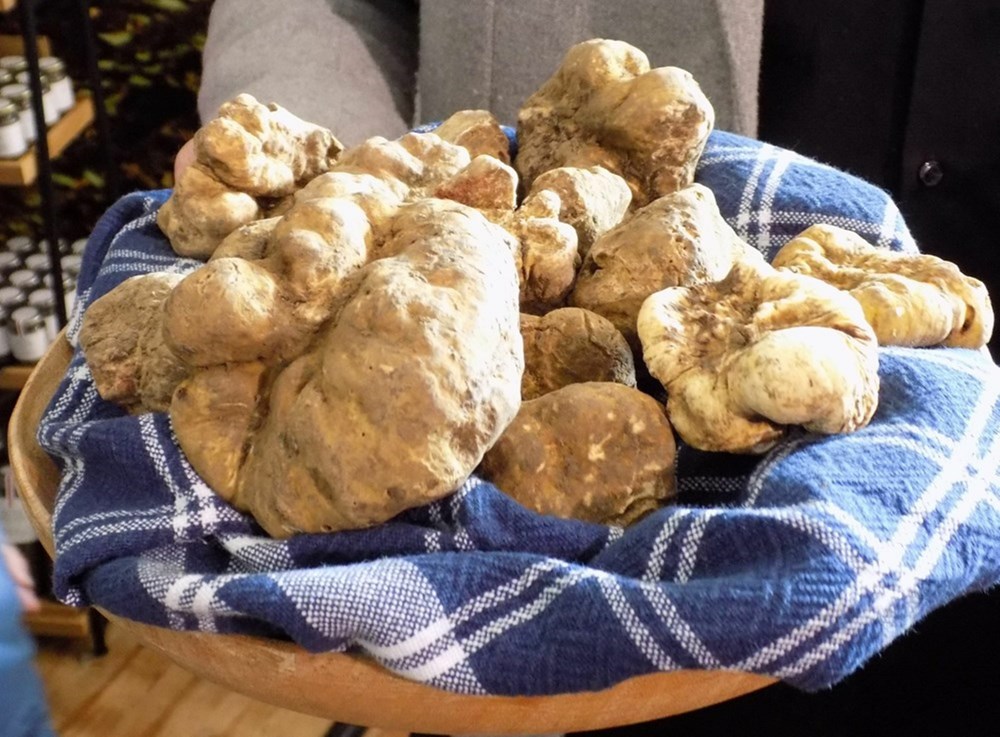 (Snimila Gordana Čalić &Scaron;verko)