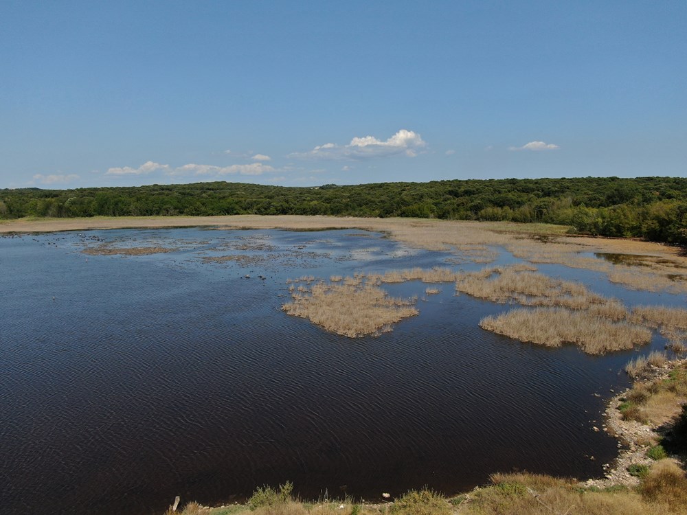 (Foto Natura Histrica)