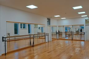 (Snimila Oriana Sapotnik)