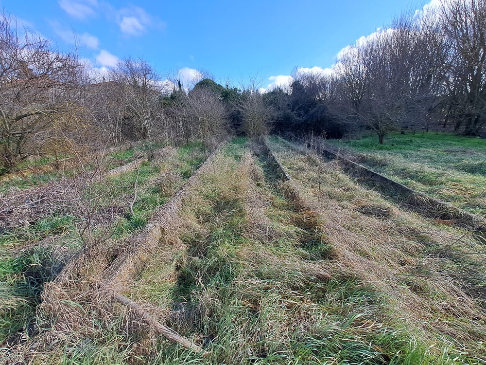 (Snimio Zoran Oljača)
