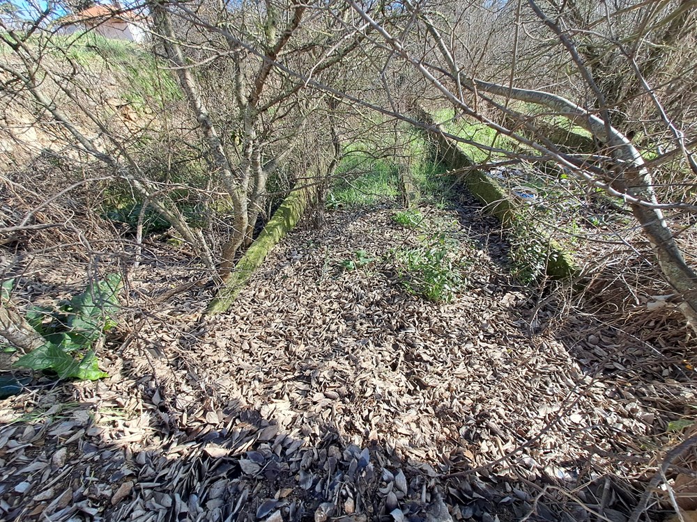 (Snimio Zoran Oljača)