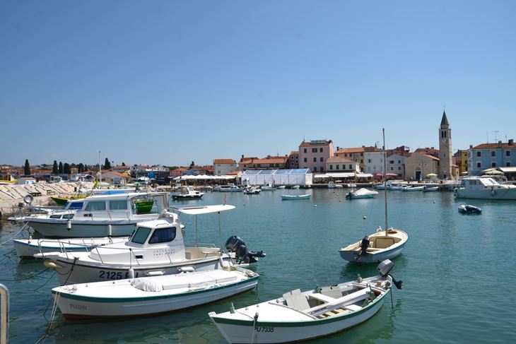 (Snimio Dusko Marusic / Pixsell9