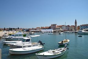 (Snimio Dusko Marusic / Pixsell9