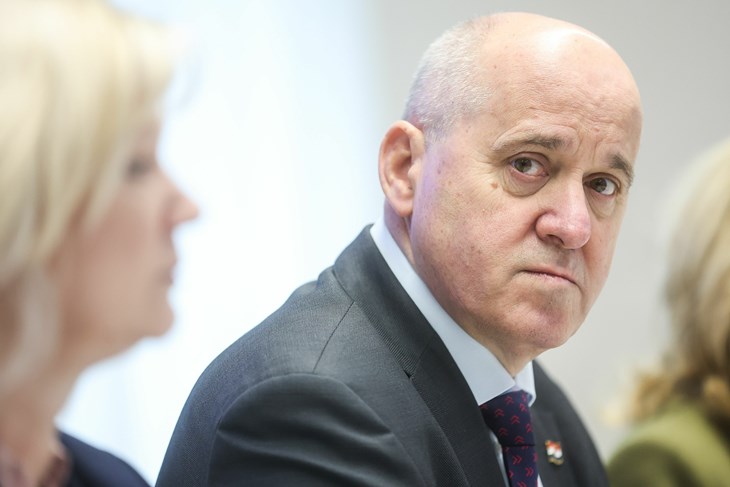 (Snimio Slavko Midzor / Pixsell)