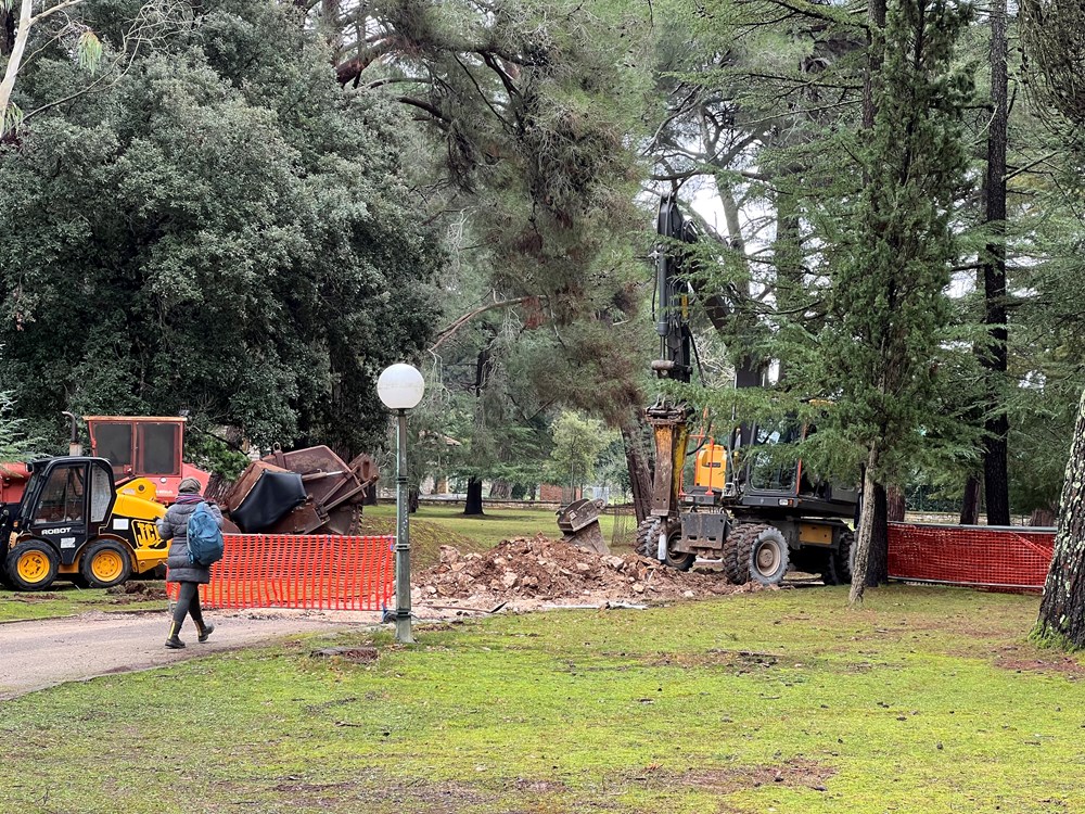 (Snimila Doria Mohorović)