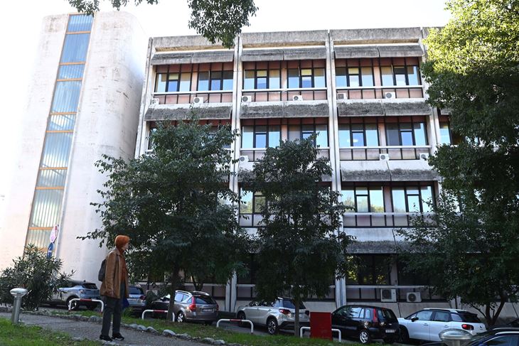 Ilustracija (Arhiva Novog lista)