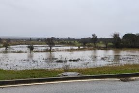 (Snimio Zvjezdan Strahinja)