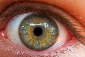 Ilustracija (Pexels)