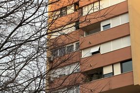 Ilustracija (Snimio Nikola Pušonjić)