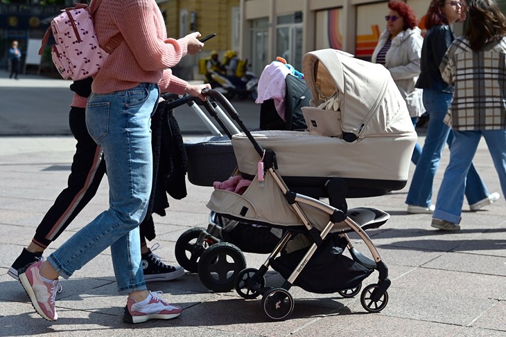 Ilustracija (Snimio Vedran Karuza)