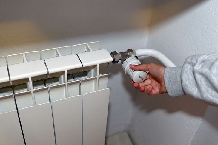 Ilustracija (Arhiva Novog lista)