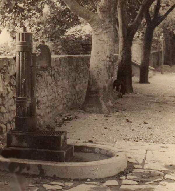 Javno dostupna pitka voda