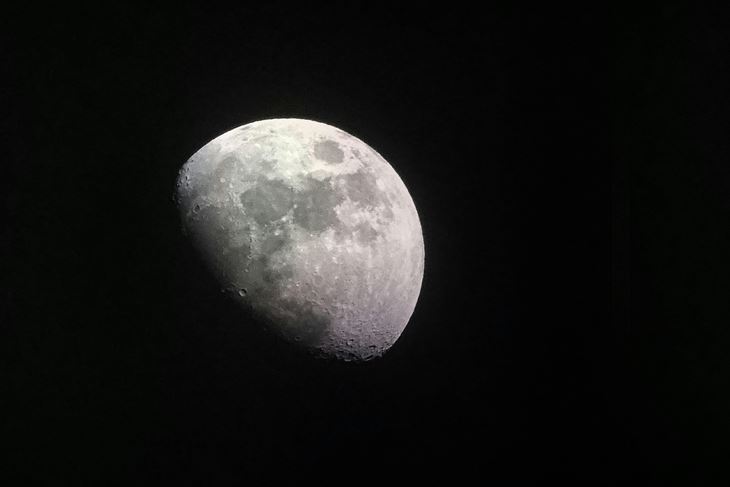 Ilustracija (Pexels)