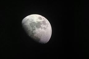 Ilustracija (Pexels)