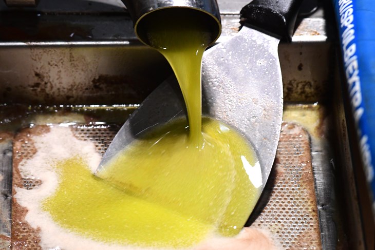 (Snimio Milivoj Mijošek)