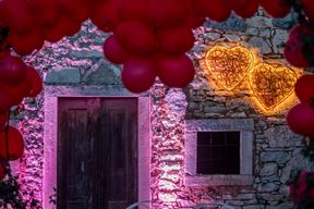 (Snimio Loris Zupanc)