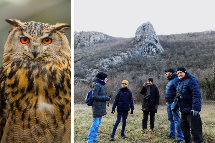 (EU PROJEKT LIKE, Gordana Čalić Šverko)