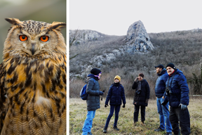 (EU PROJEKT LIKE, Gordana Čalić Šverko)