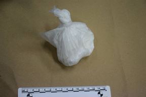 (Foto: PU zagrebačka)