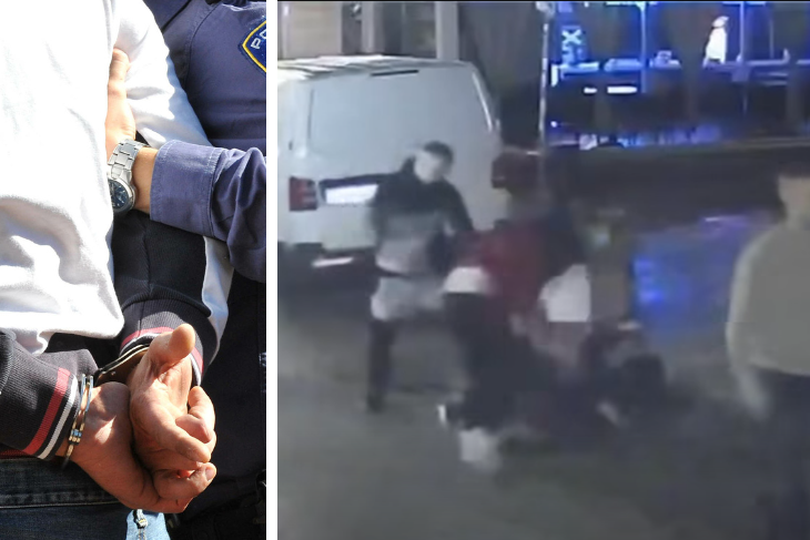 (Arhiva Novog lista, Screenshot)