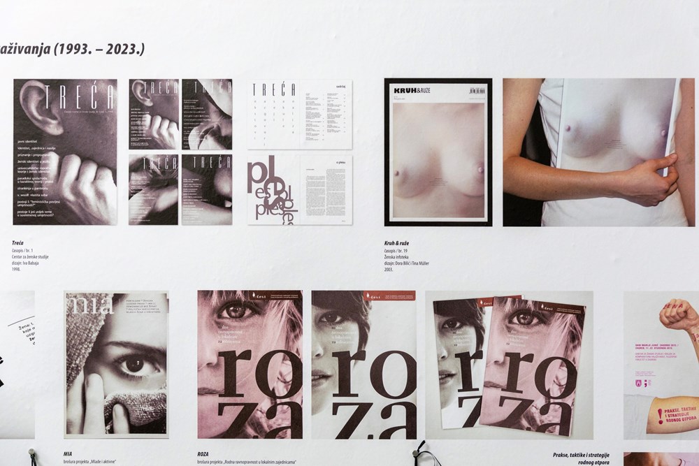 (Snimio Srecko Niketic / Pixsell)