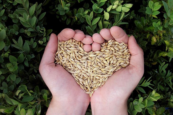 Ilustracija (Pixabay)