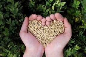 Ilustracija (Pixabay)