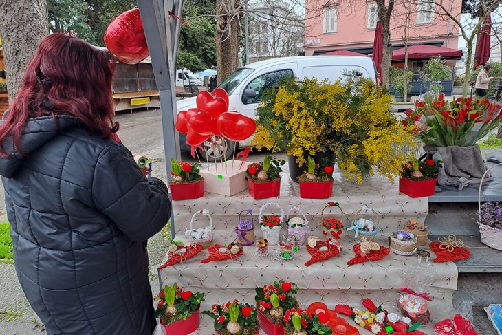 (Snimio Zoran Oljača)