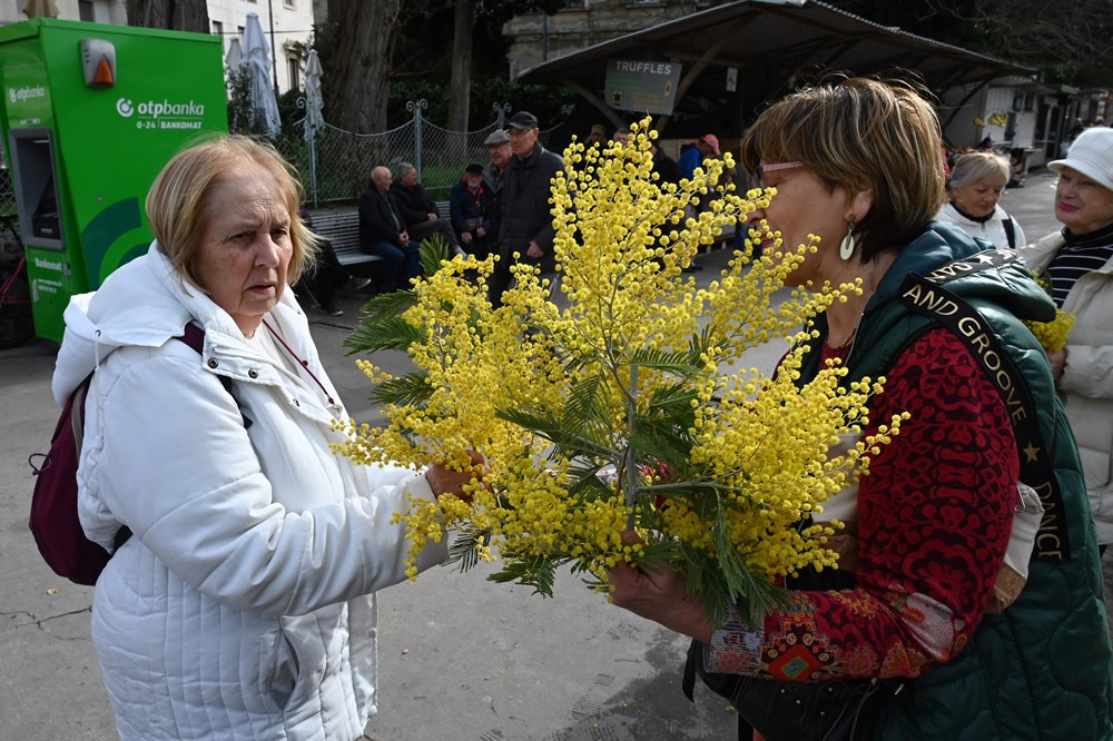 (Arhiva Glasa Istre)