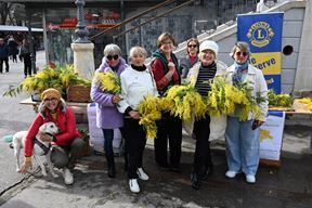 (Arhiva Glasa Istre)