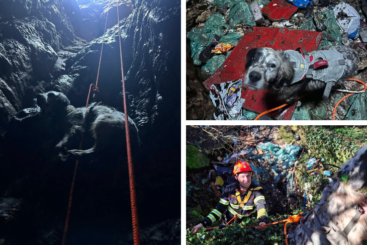 (DVD "Plamen" Višnjan)