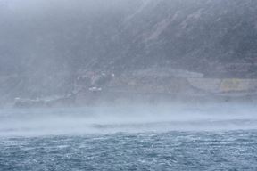 Ilustracija (Arhiva Novog lista)