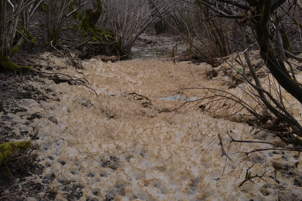 (Snimila Annamaria Vidović)