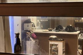 (Foto: Zadarski list)